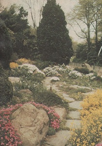 Brooklyn Botanic Garden rock garden